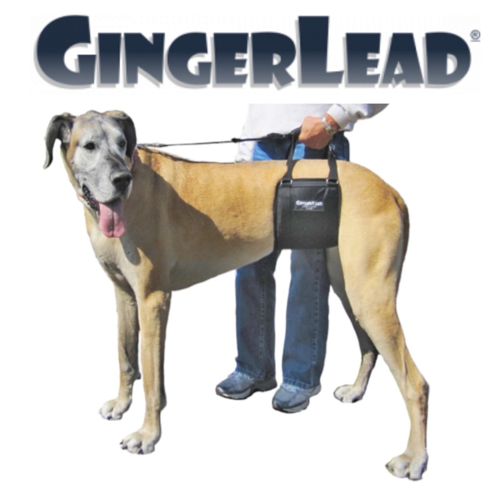 GINGERLEAD➕NEW Dog Support & Rehabilitation Harness